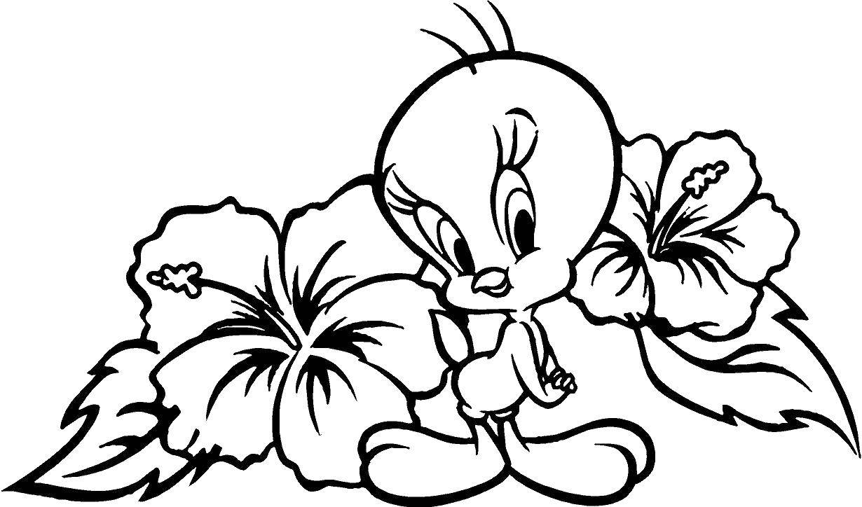 Coloring Tweety chicken. Category cartoons. Tags:  Tweety, chicken.