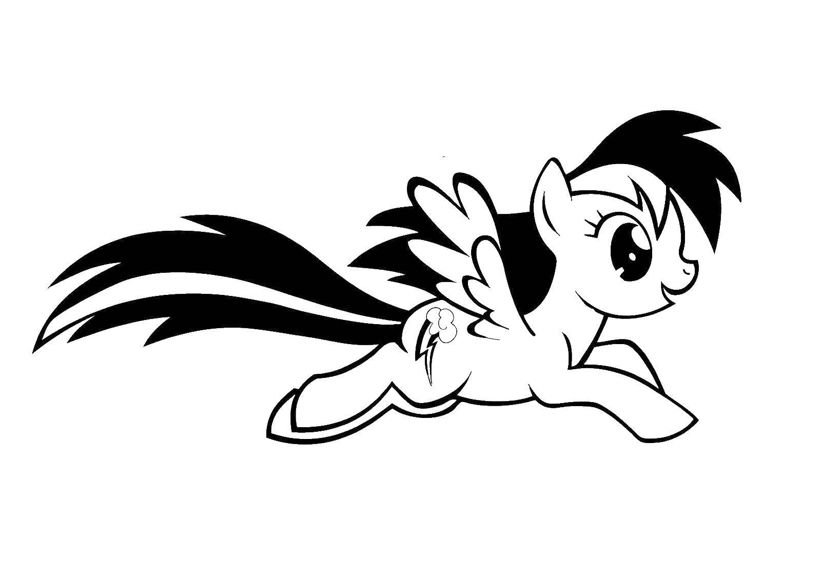 Название: Раскраска Летящий пони. Категория: Пони. Теги: пони, сказка, для девочек.