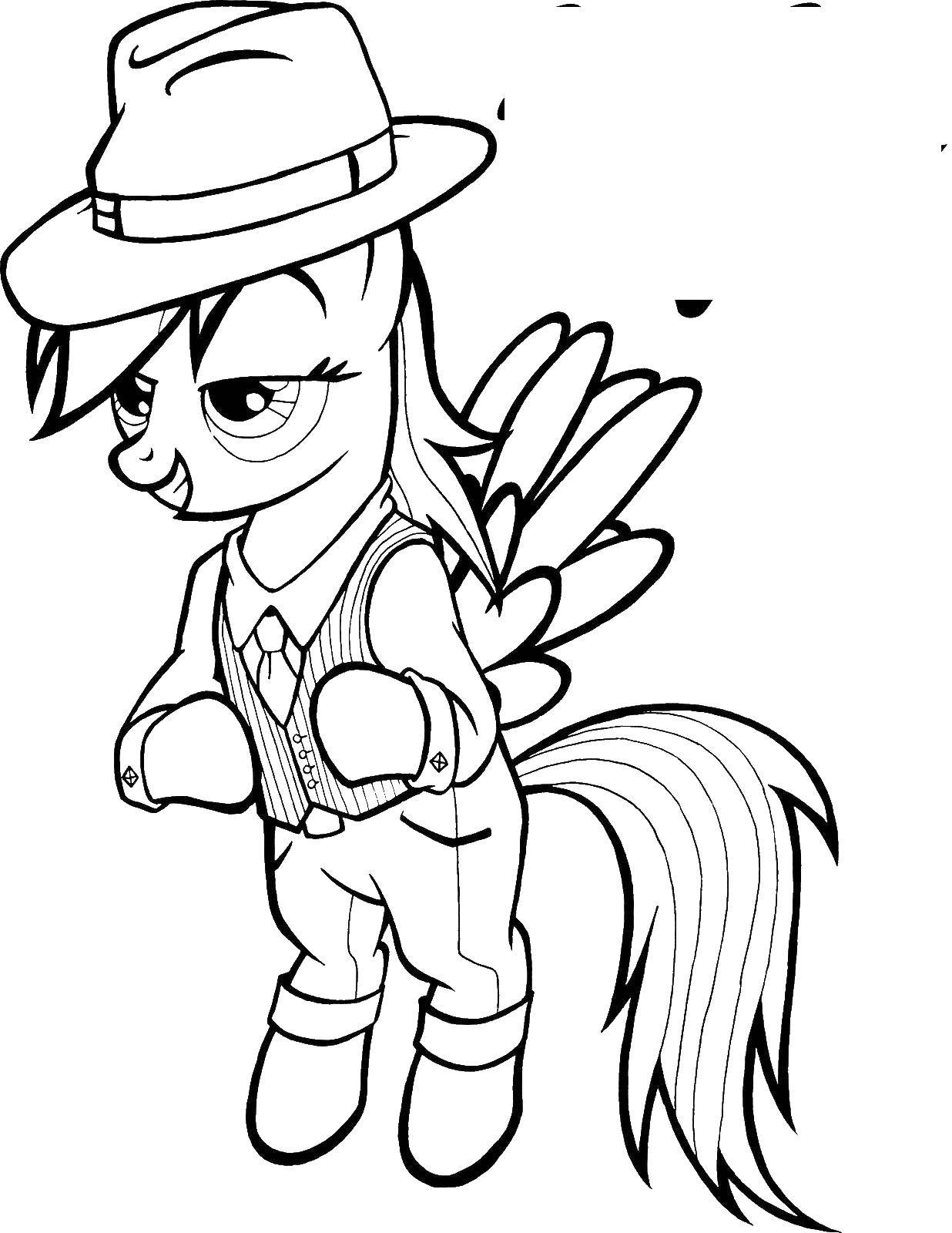 Coloring Rainbow in the suit. Category my little pony. Tags:  pony, rainbow.