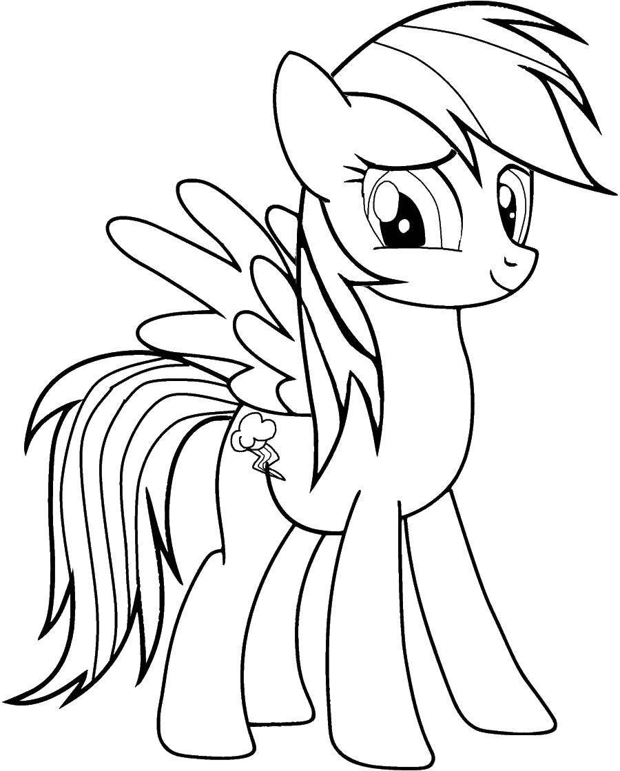 Название: Раскраска Радуга. Категория: мой маленький пони. Теги: Радуга, пони.
