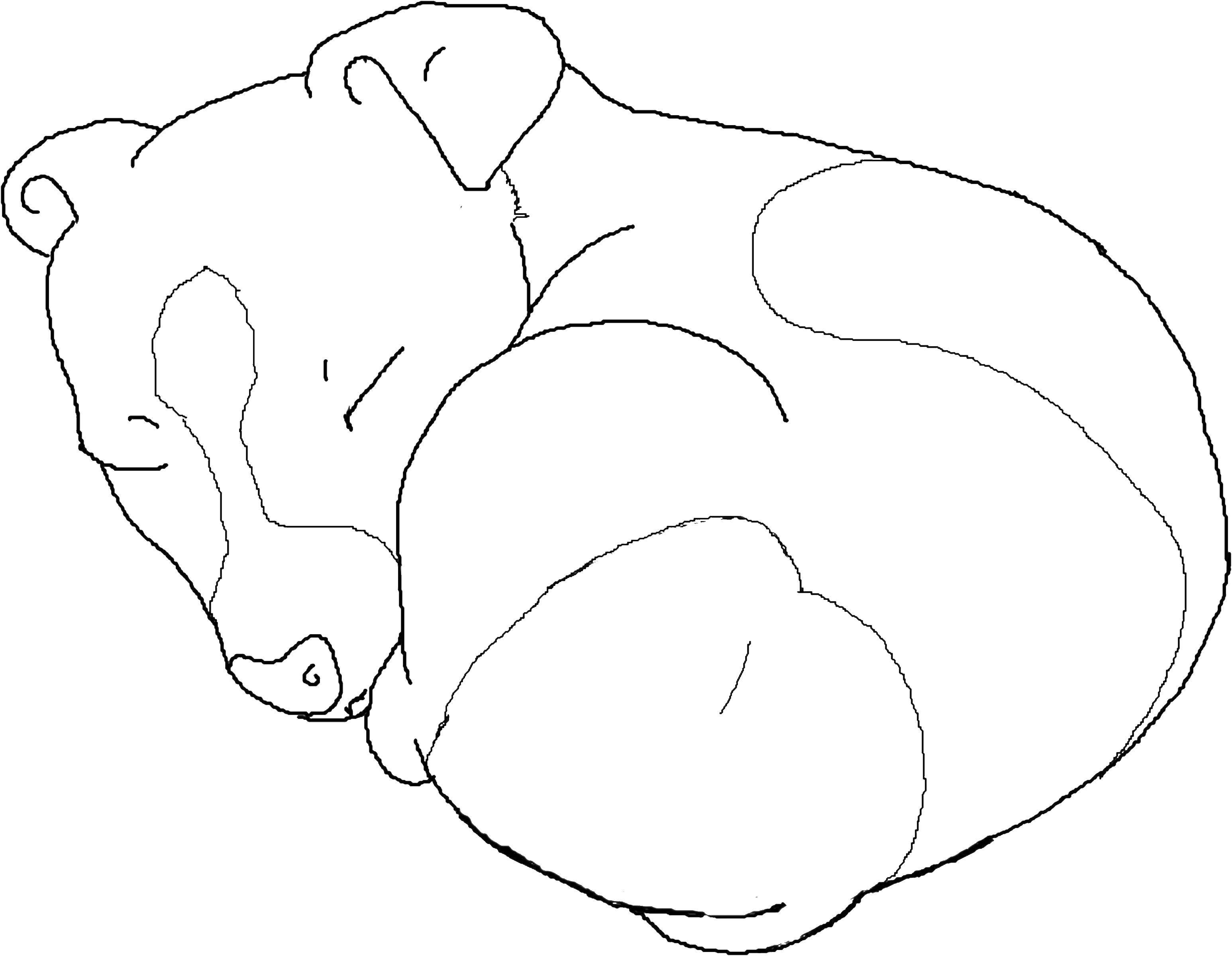 Название: Раскраска Собака спит. Категория: домашние животные. Теги: собака, сон.