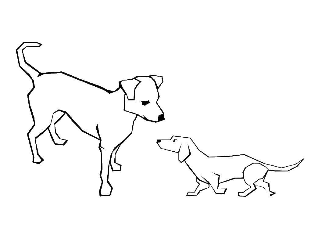 Название: Раскраска Собаки. Категория: домашние животные. Теги: животные, собака, щенок, пес.