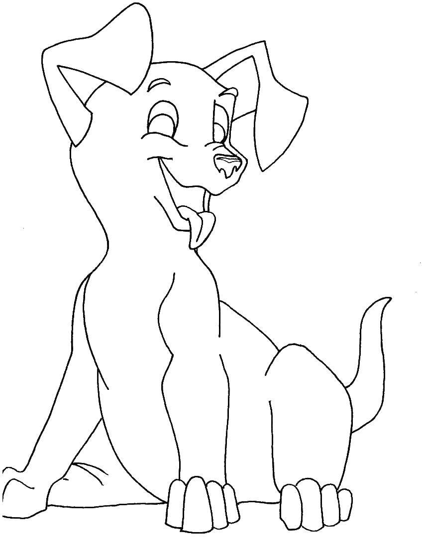 Coloring Funny puppy. Category Pets allowed. Tags:  animals, dog, puppy, dog.