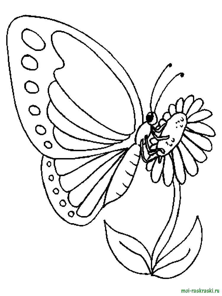 Название: Раскраска Бабочка на цветке. Категория: Насекомые. Теги: бабочка.