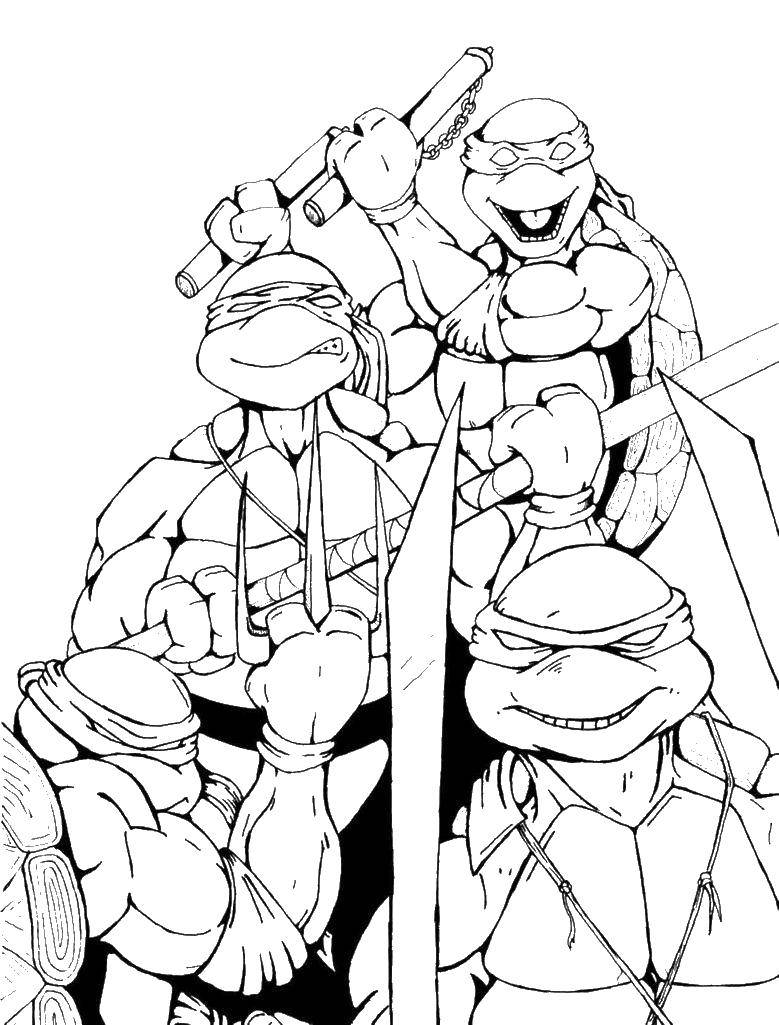 Coloring Teenage mutant ninja turtles. Category teenage mutant ninja turtles. Tags:  turtles, ninja.