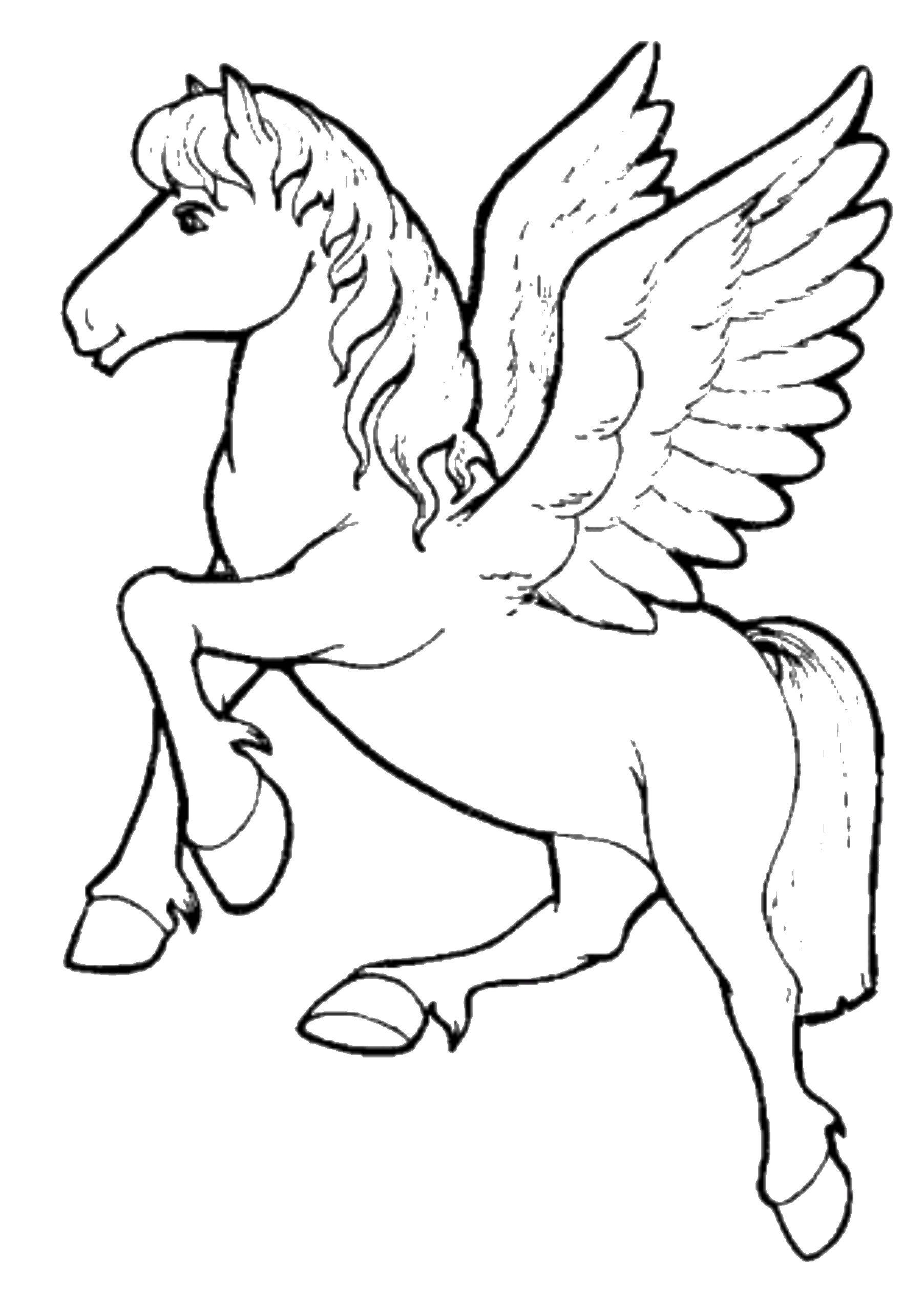 Раскраска Крылатый конь Скачать ,пони, конь, лошадь, крылья,.  Распечатать 