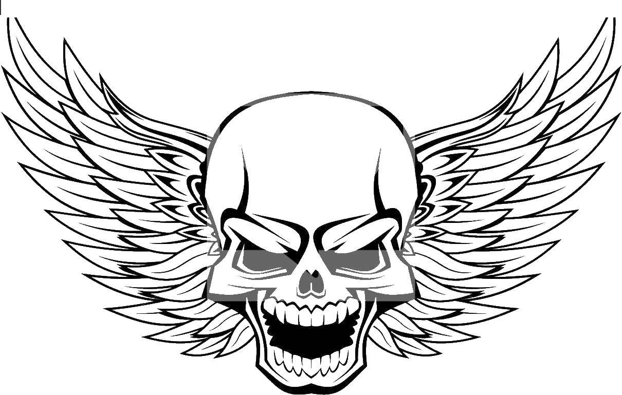 Coloring Skull with wings. Category Skull. Tags:  Skull, wings.