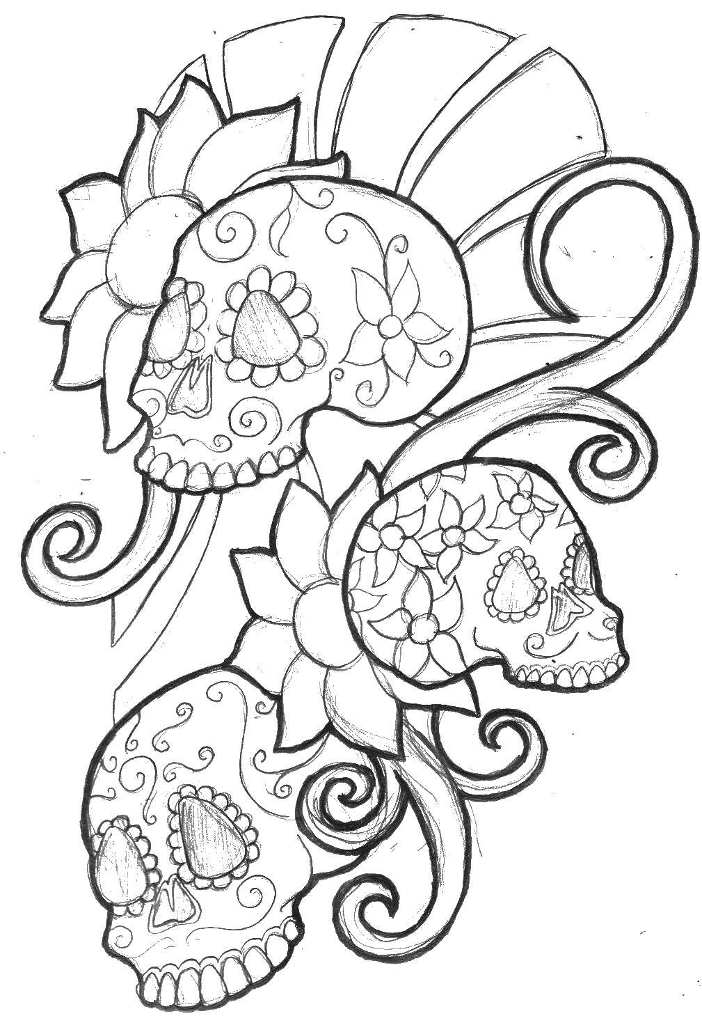 Coloring Skull. Category Skull. Tags:  skull.