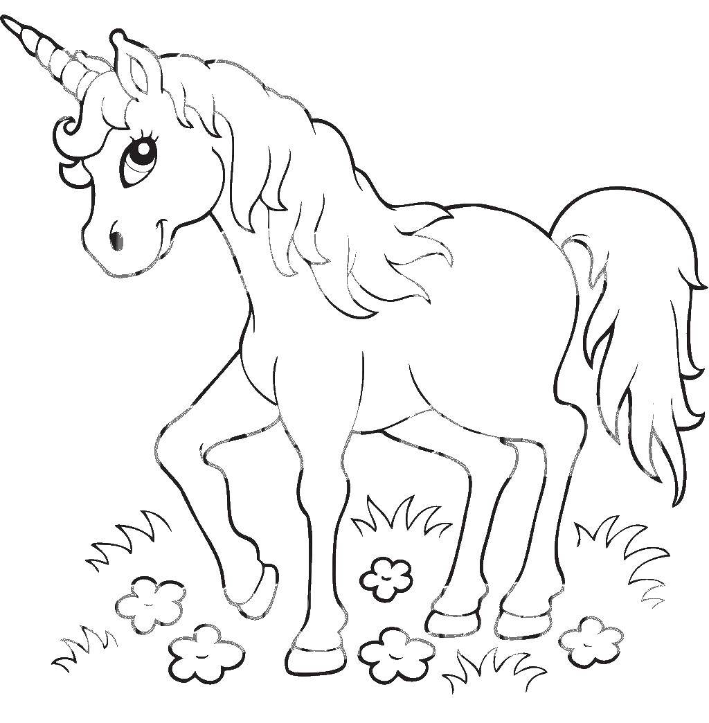 Coloring Unicorn. Category Ponies. Tags:  pony, unicorn.