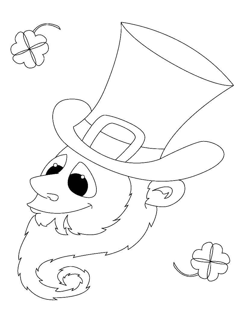 Coloring Leprechaun. Category The rainbow. Tags:  the leprechaun.