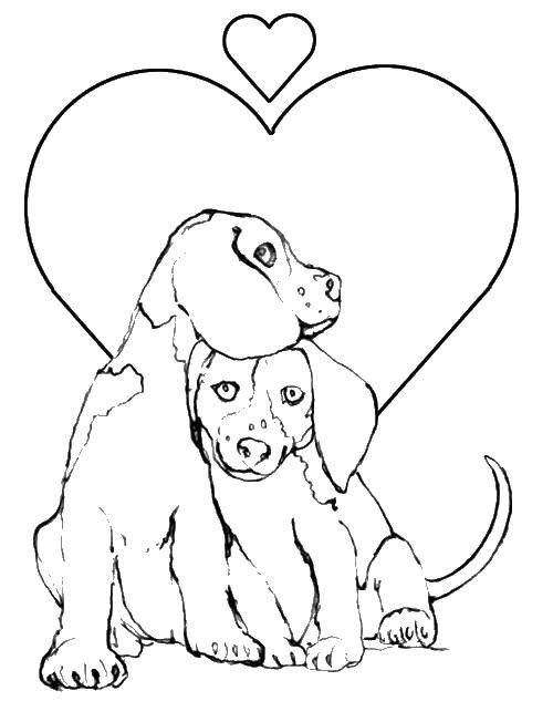 Название: Раскраска Любовь между собачками. Категория: домашние животные. Теги: животные, собаки, любовь.