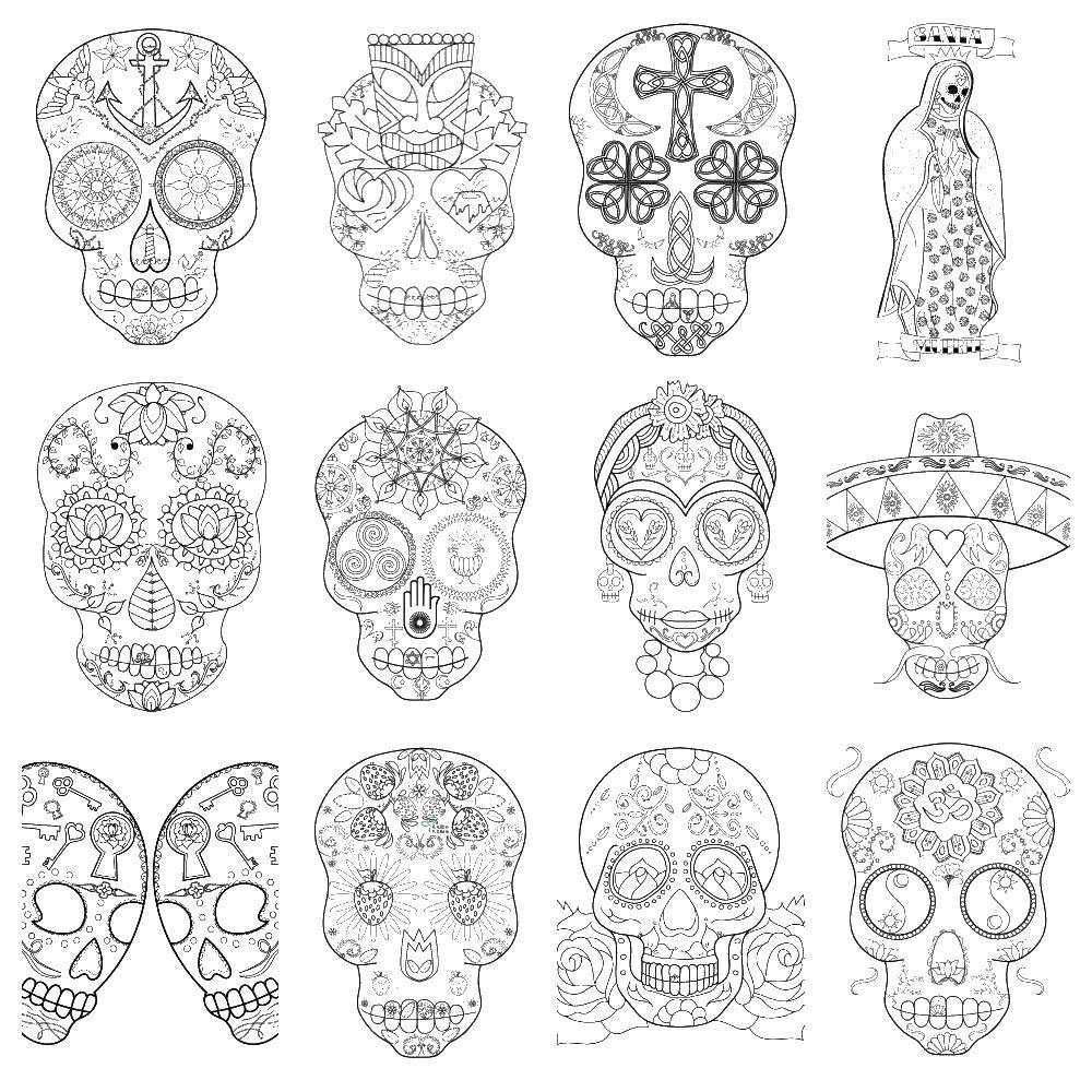 Coloring Different skull. Category Skull. Tags:  skull, patterns, flowers.