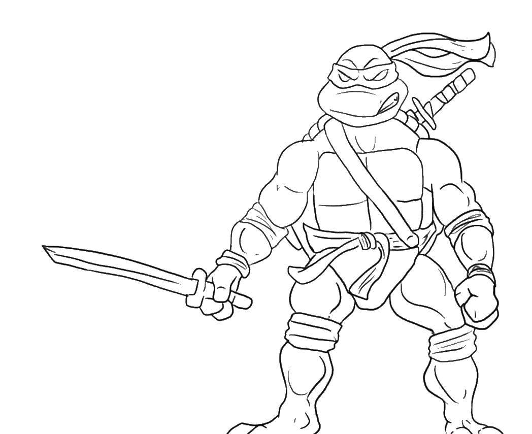 Coloring Ninja turtle. Category teenage mutant ninja turtles. Tags:  cartoon ninja turtles.