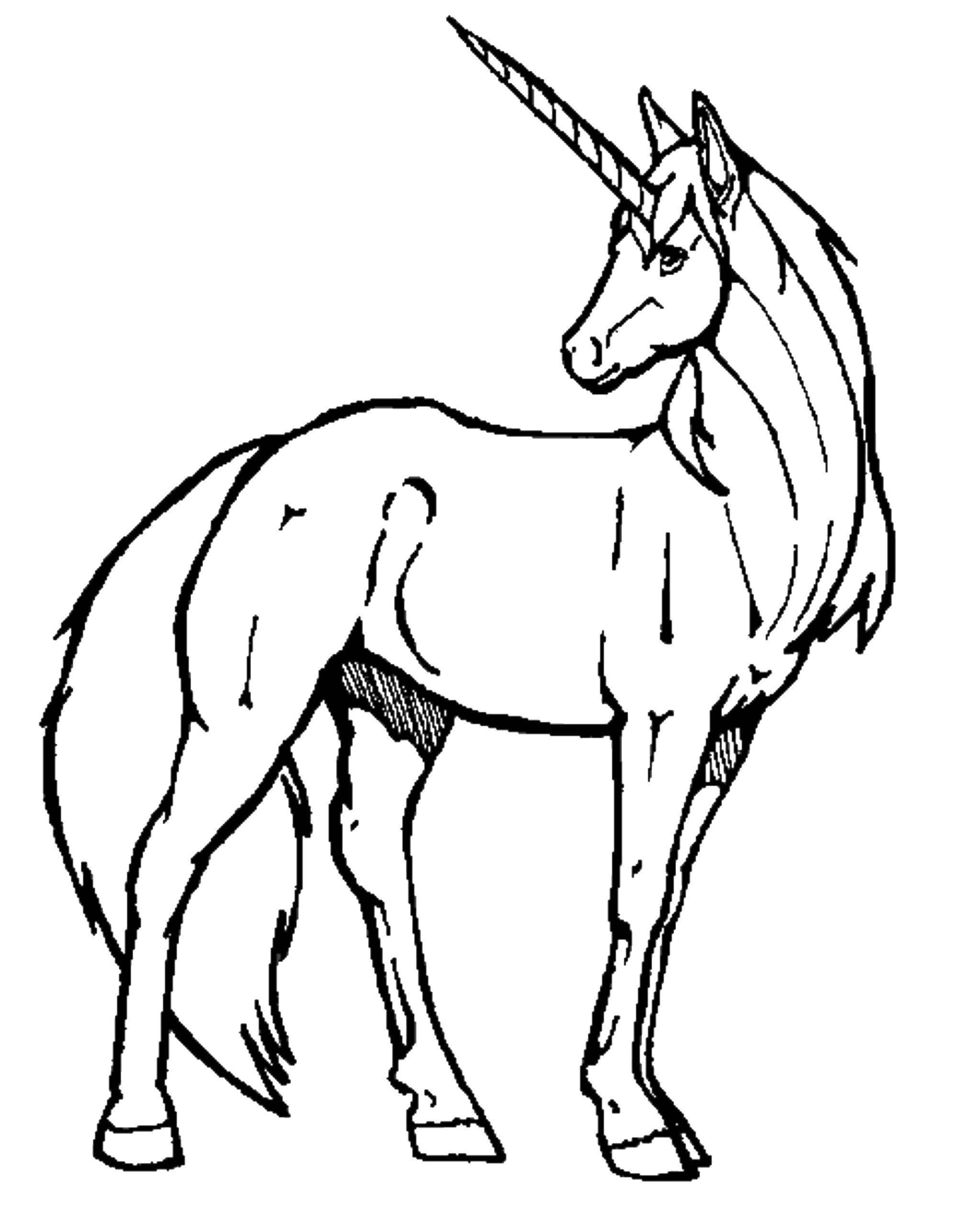 Coloring Unicorn. Category Animals. Tags:  Animals, unicorn.