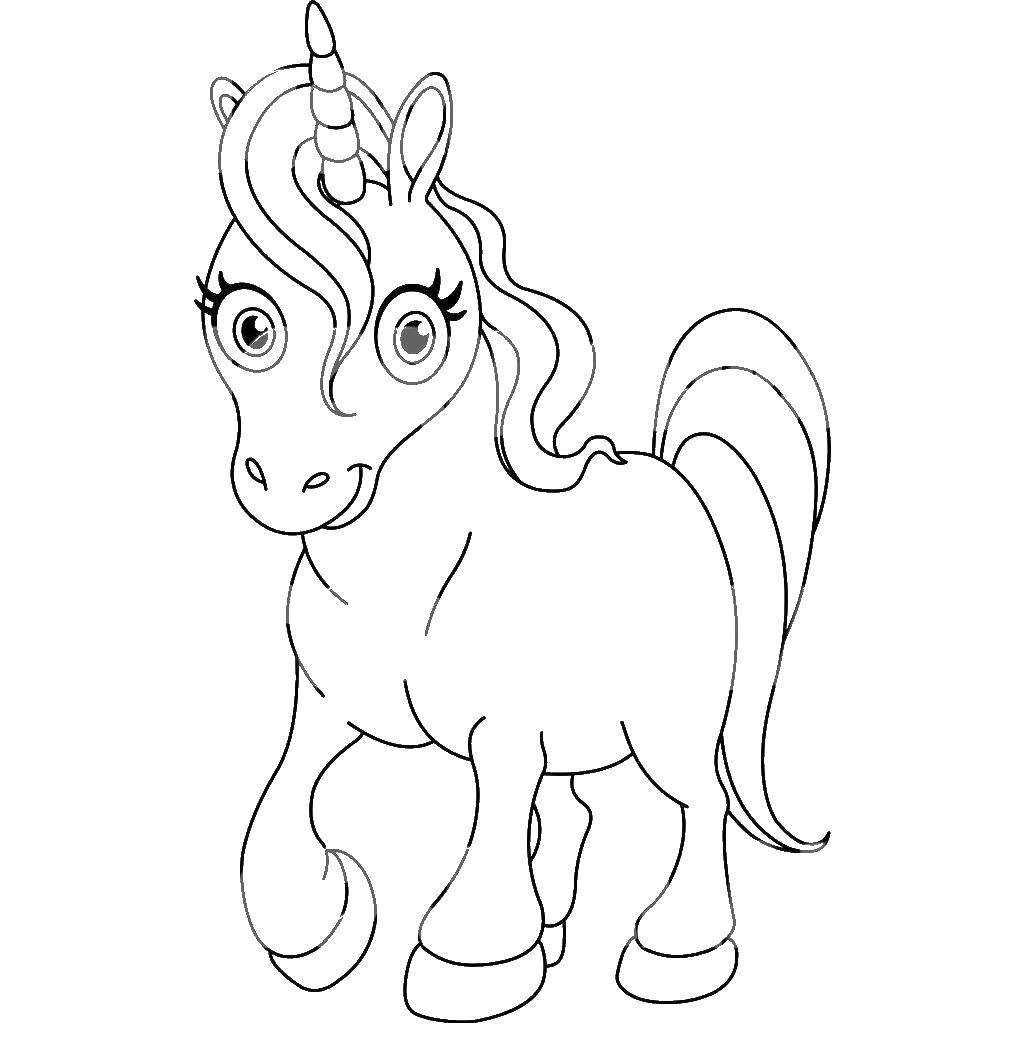 Coloring Unicorn. Category The magic of creation. Tags:  unicorn, pony.