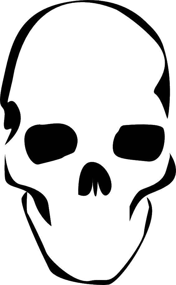 Coloring Simple skull. Category Skull. Tags:  skull.
