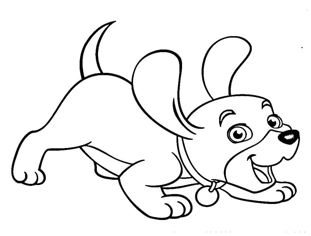 Название: Раскраска Радостная собака. Категория: домашние животные. Теги: щенок.