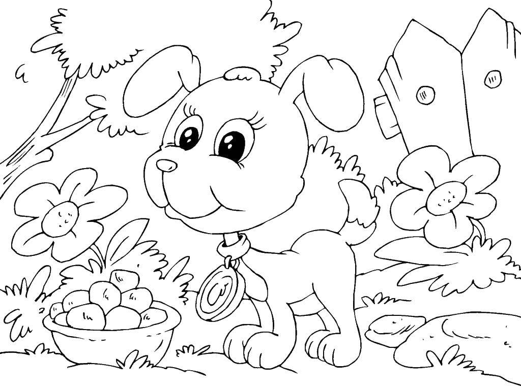 Coloring Puppy in the garden. Category Pets allowed. Tags:  Animals, dog.