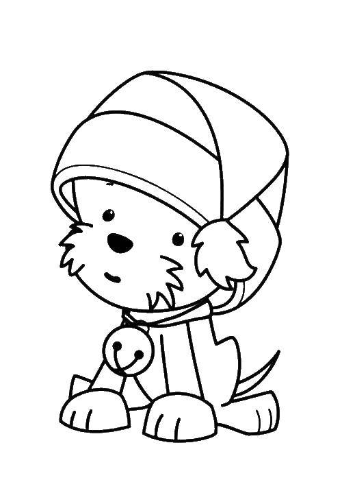 Coloring Puppy in hat. Category Pets allowed. Tags:  animals, dog, puppy, dog.