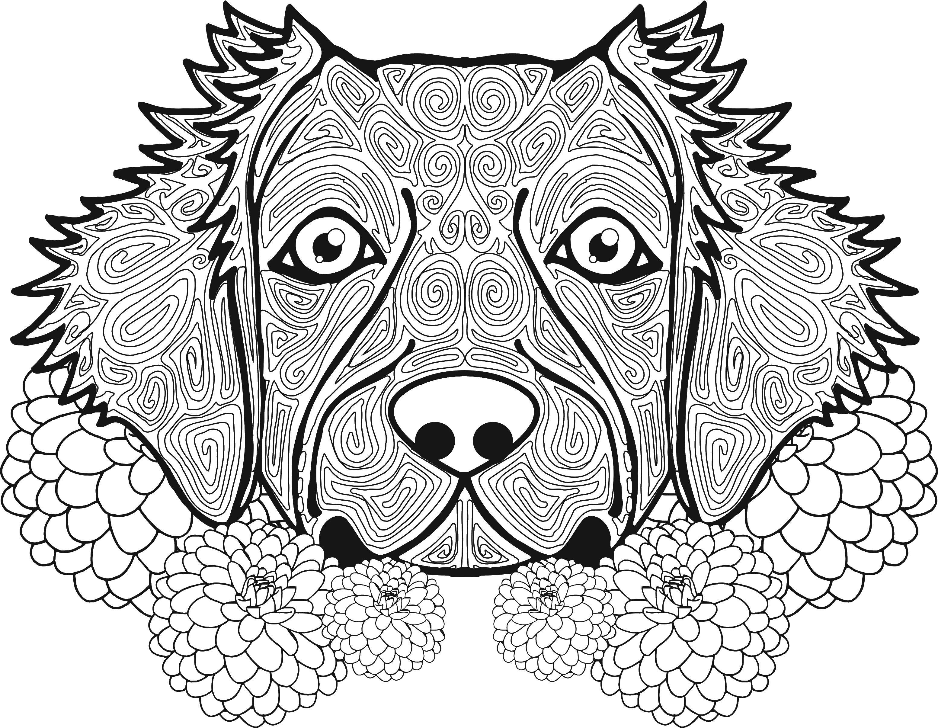 Coloring Dog patterns. Category coloring antistress. Tags:  the dog, patterns, flowers.