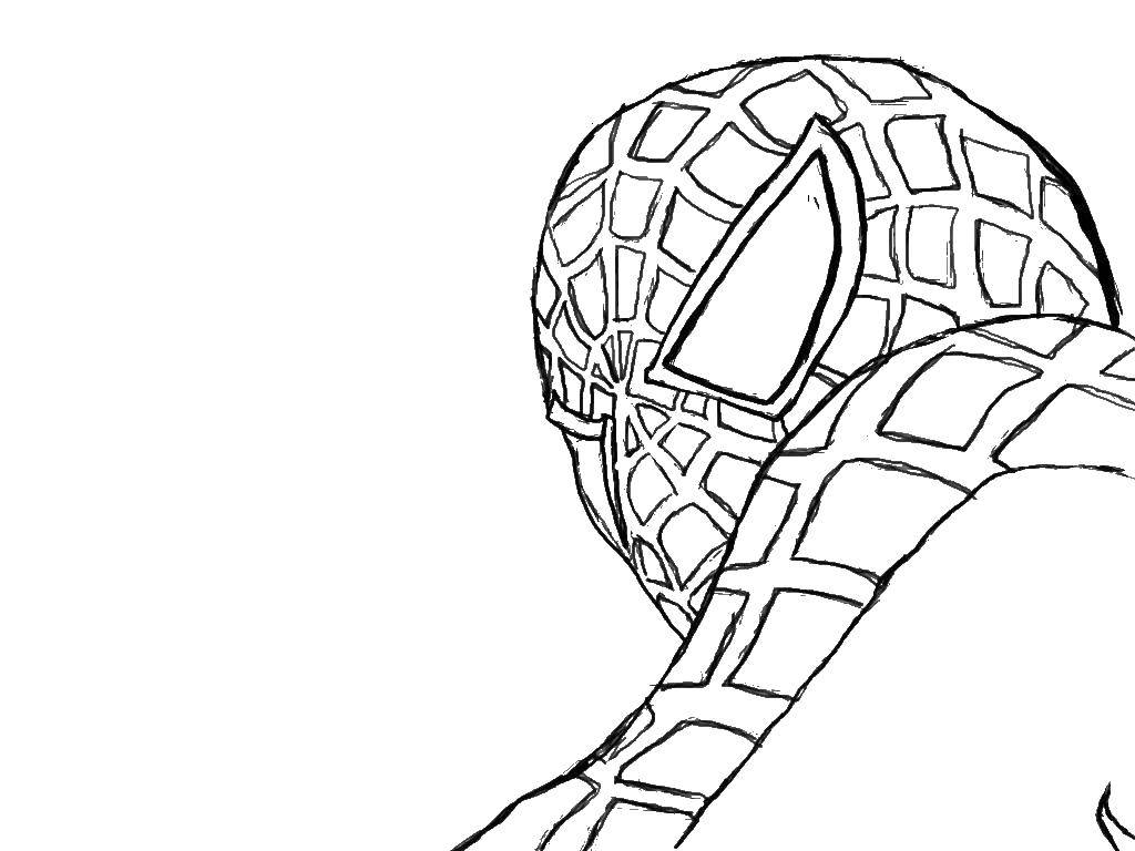 Coloring Spider. Category spider man. Tags:  spider man, Spiderman, movie, cartoon.