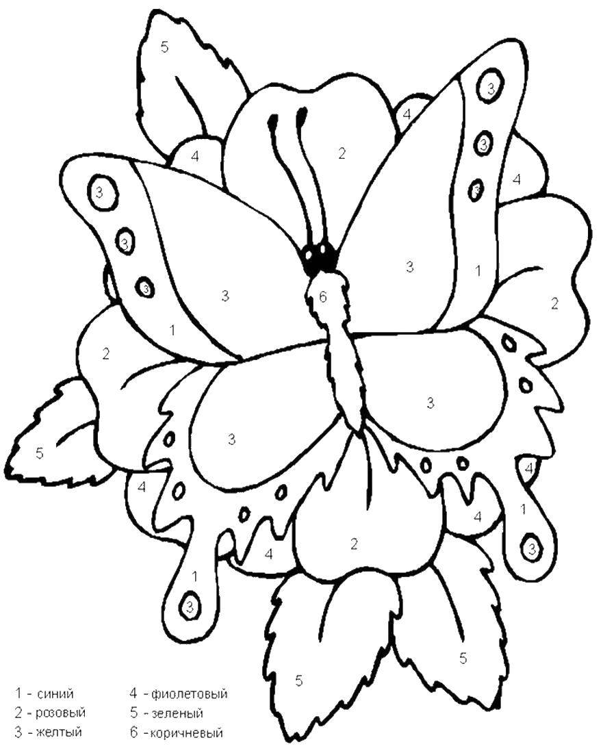 Название: Раскраска Бабочка. Категория: Насекомые. Теги: Бабочка.