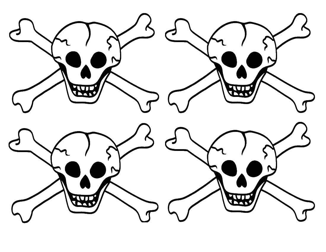 Coloring Shards. Category Skull. Tags:  Skull, bones.