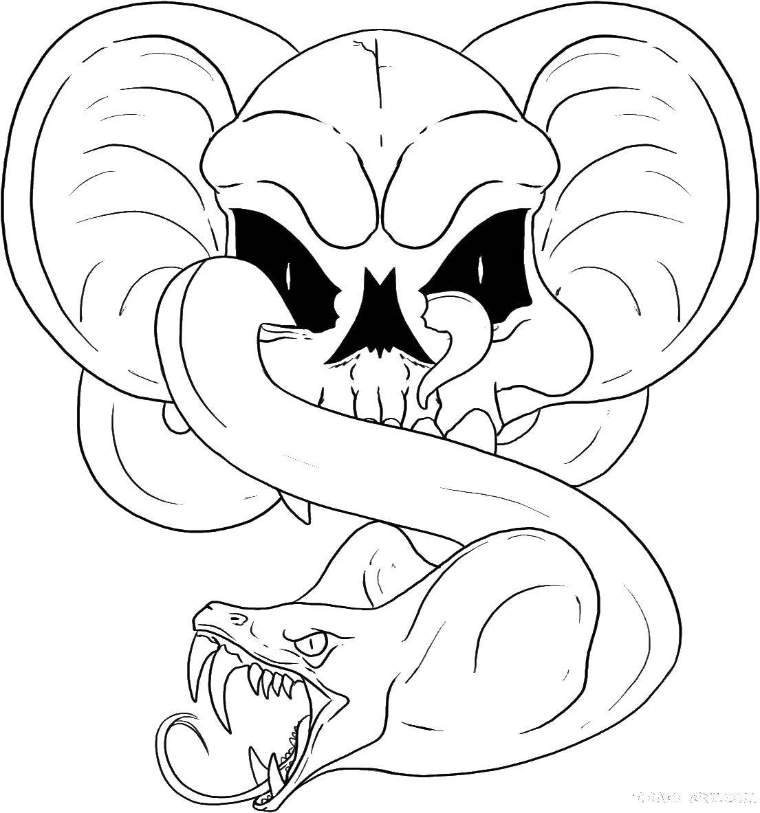 Название: Раскраска Череп змея. Категория: Череп. Теги: череп, змея.