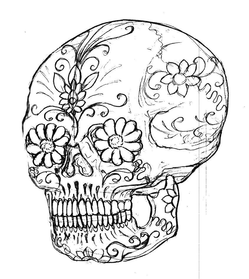 Название: Раскраска Череп. Категория: Череп. Теги: череп, узоры, цветы.