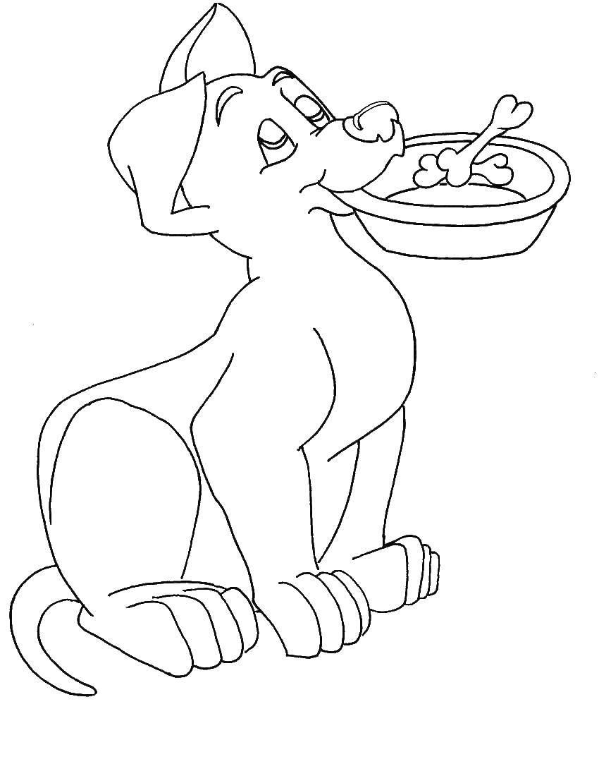 Coloring Dog with a bowl. Category Pets allowed. Tags:  animals, dog, puppy, dog.