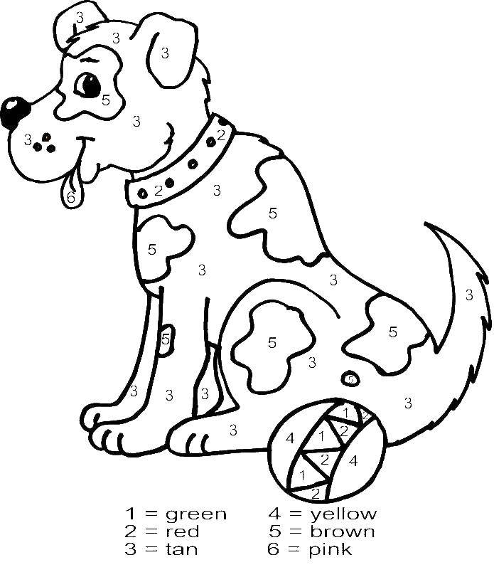 Coloring A dog with a ball. Category Pets allowed. Tags:  the dog, ball.