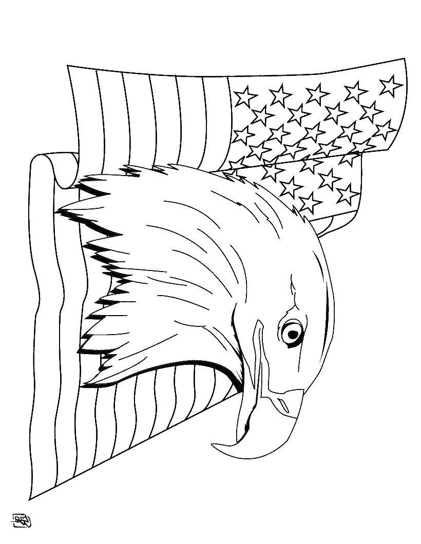 Название: Раскраска Орёл и флаг сша. Категория: США. Теги: Америка, США, флаг.