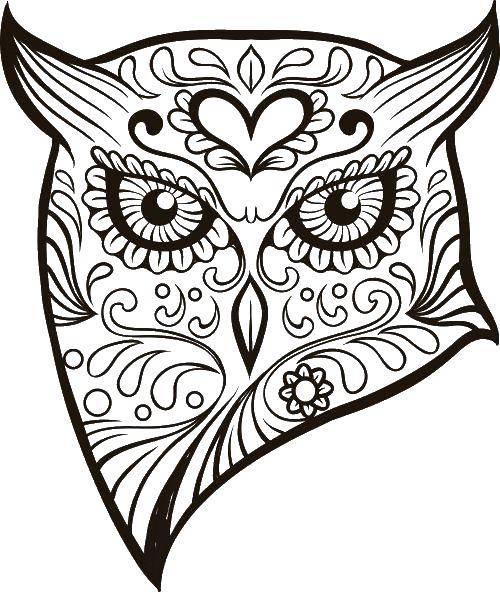 Coloring Patterned owl. Category birds. Tags:  Birds, owl.
