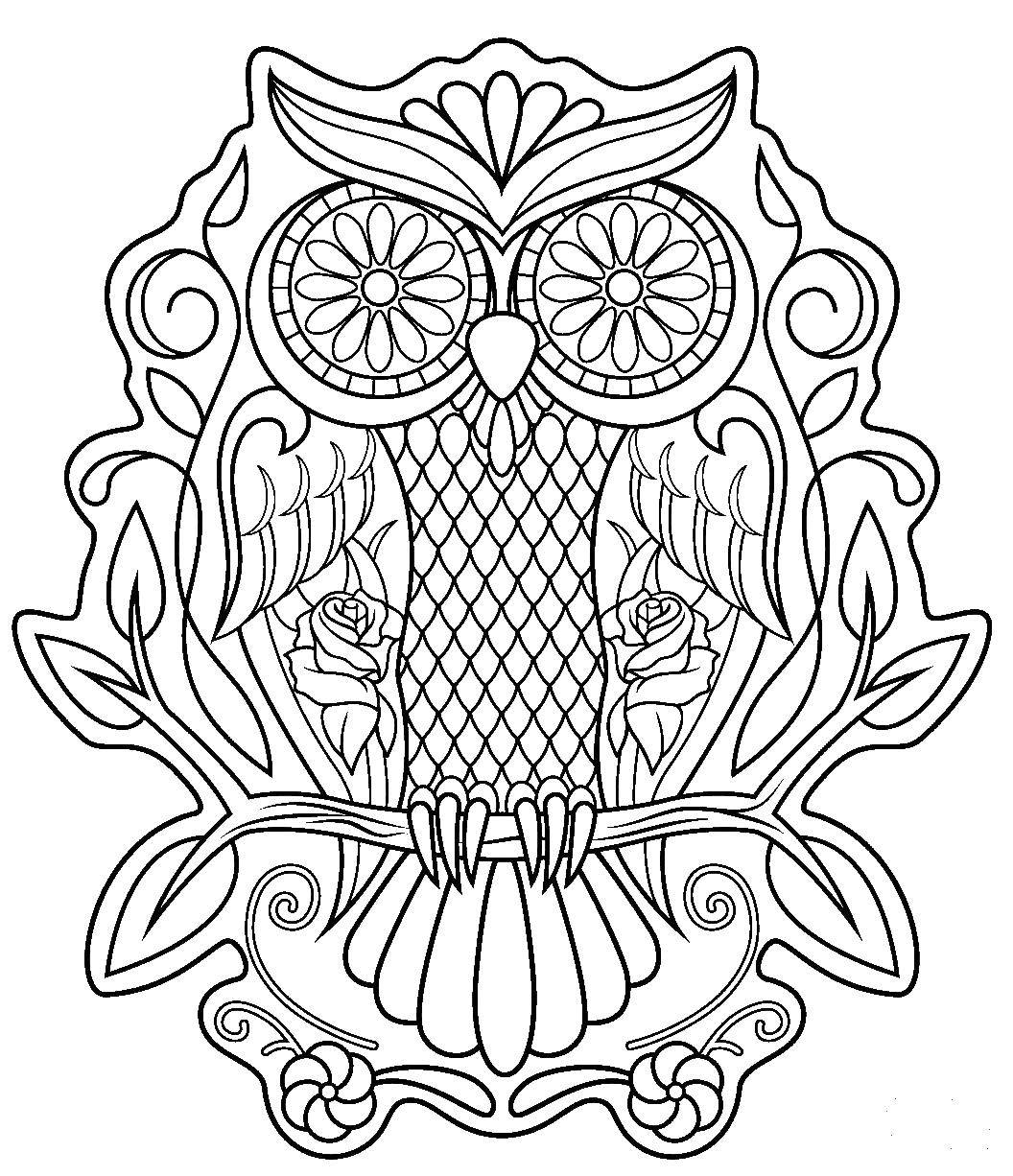 Coloring Beautiful owl. Category patterns. Tags:  Patterns, animals.