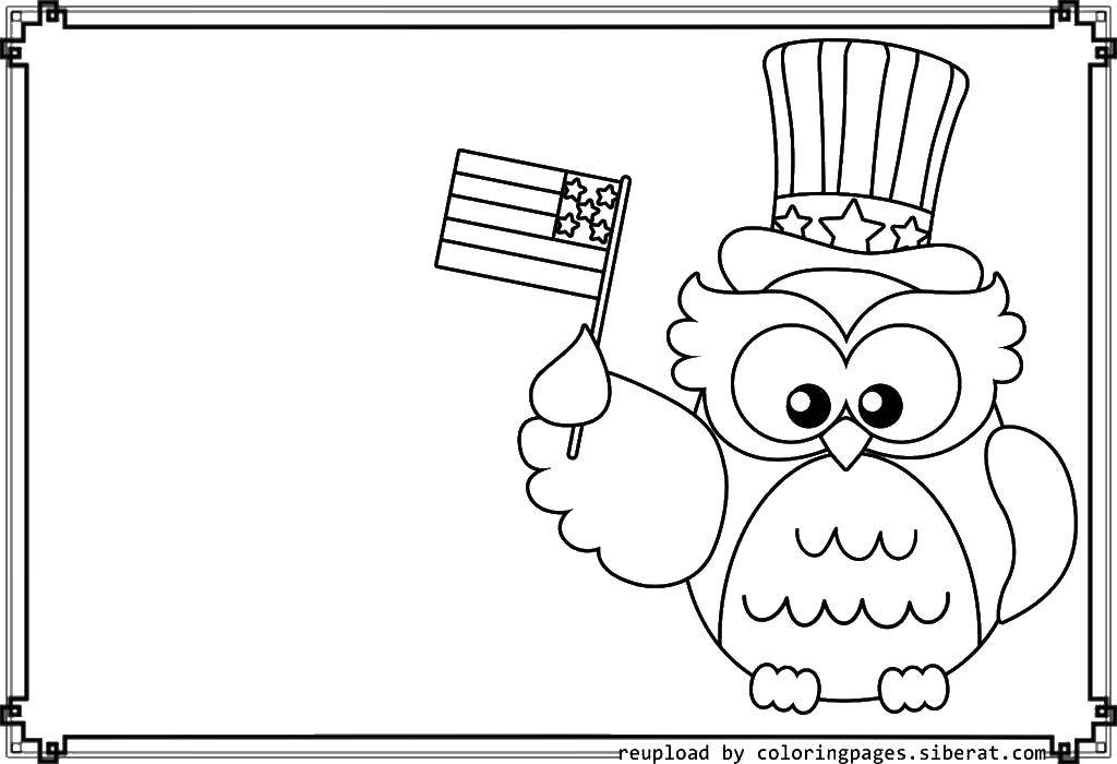 Coloring Owl. Category USA . Tags:  USA, America, owl.