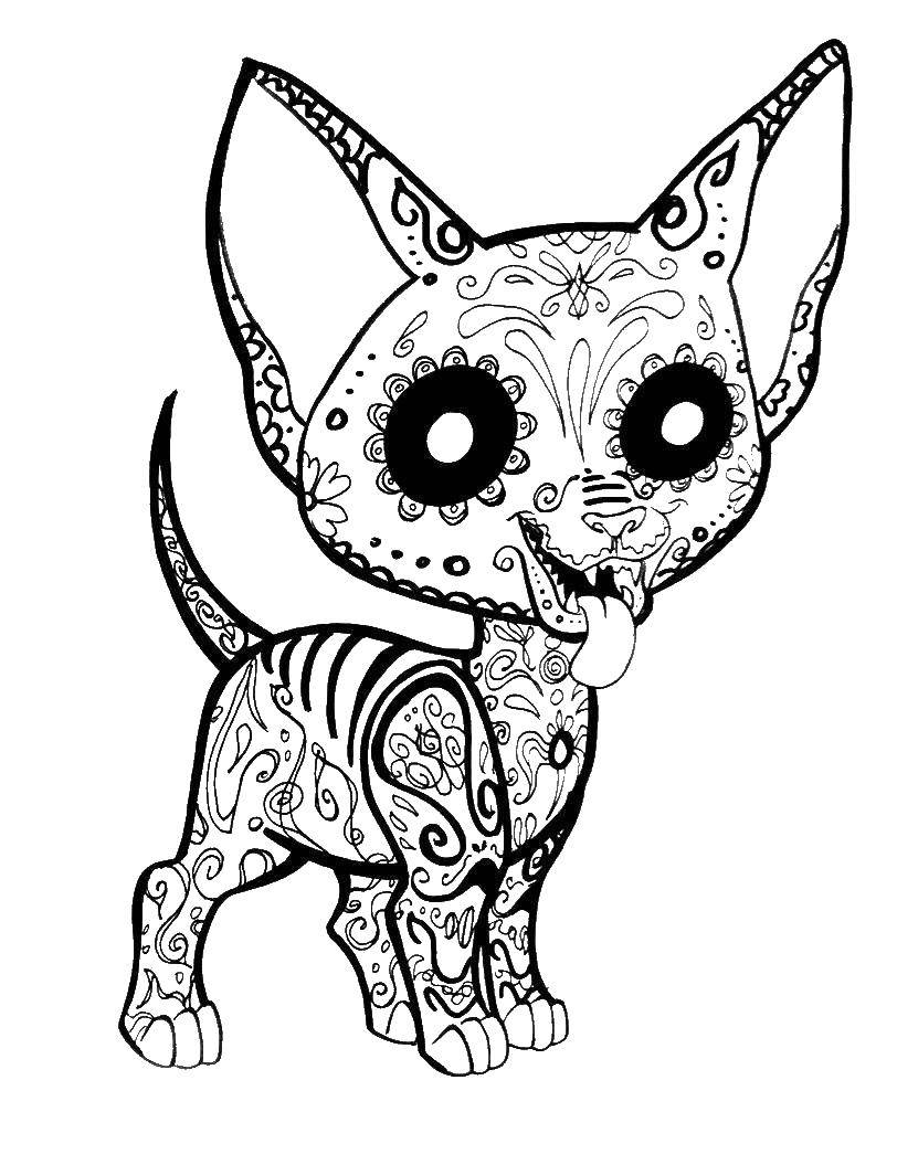 Coloring Patterned dog. Category patterns. Tags:  Patterns, animals.
