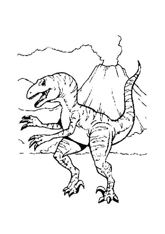 Coloring Dinosaur. Category dinosaur. Tags:  dinosaur, volcano.