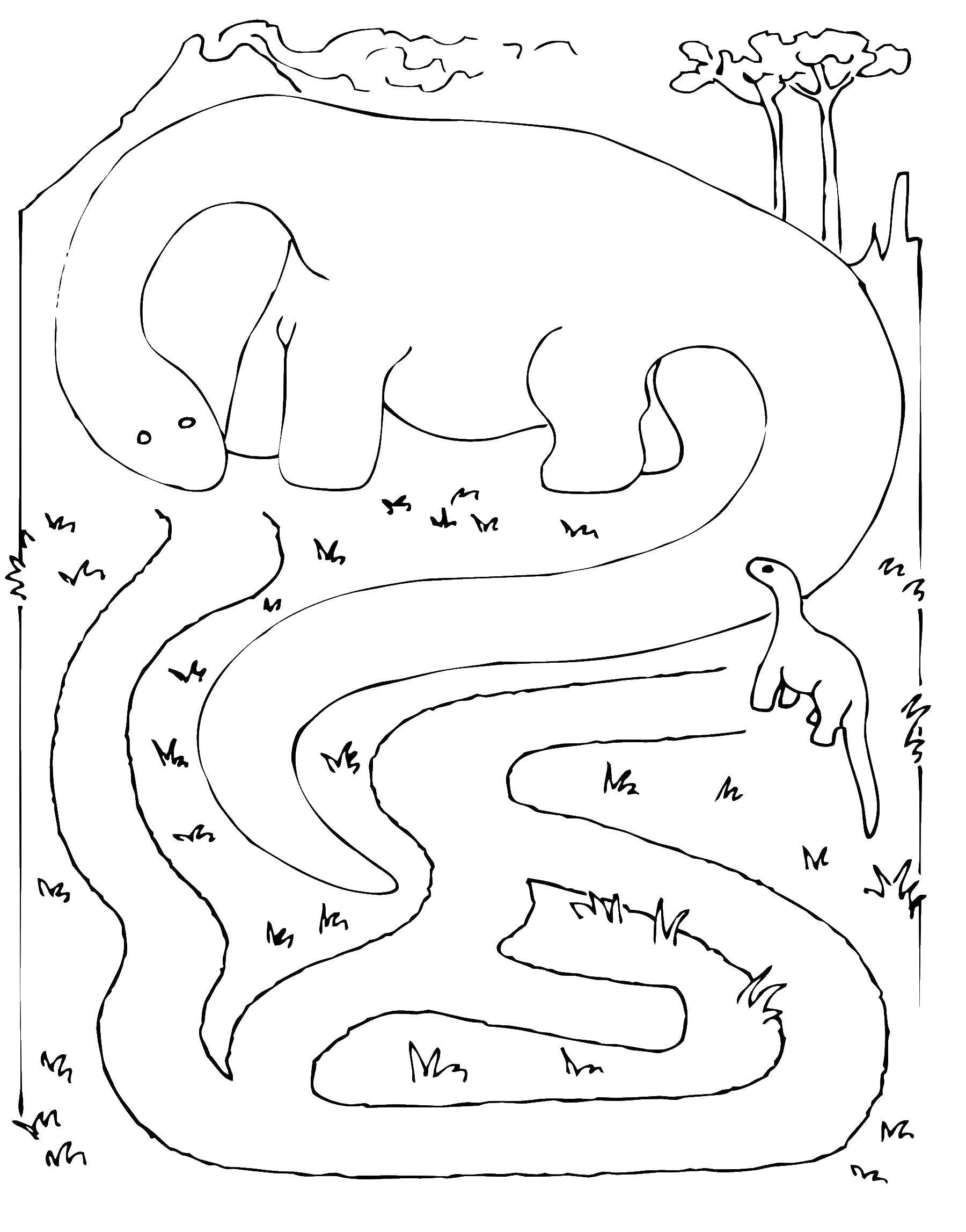 Coloring Help the dinosaur to go. Category mazes. Tags:  Maze, logic.