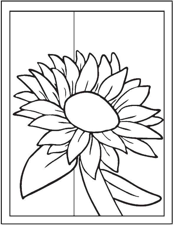 Coloring Flower. Category flowers. Tags:  flowers, plants, flower.