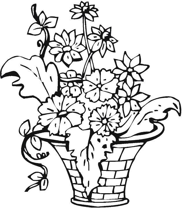 Название: Раскраска Ваза с цветами и листиками. Категория: Ваза. Теги: ваза, цветы, листья.