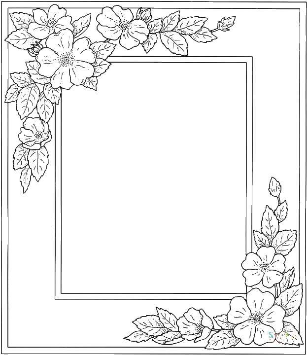 Название: Раскраска Рамка с цветами. Категория: рамки. Теги: цветы, рамка.