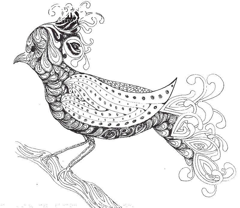 Название: Раскраска Волшебная птица на ветке. Категория: Антистресс. Теги: птица, узоры.