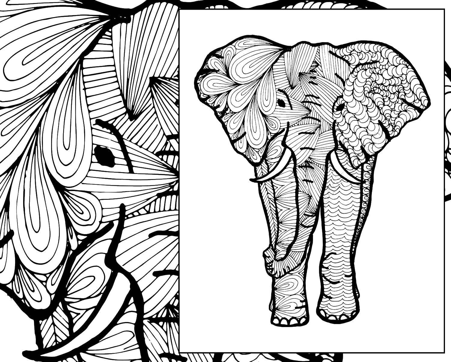 Название: Раскраска Раскраска антистресс, слон. Категория: Антистресс. Теги: антисресс, узоры, фигуры, слоненок.