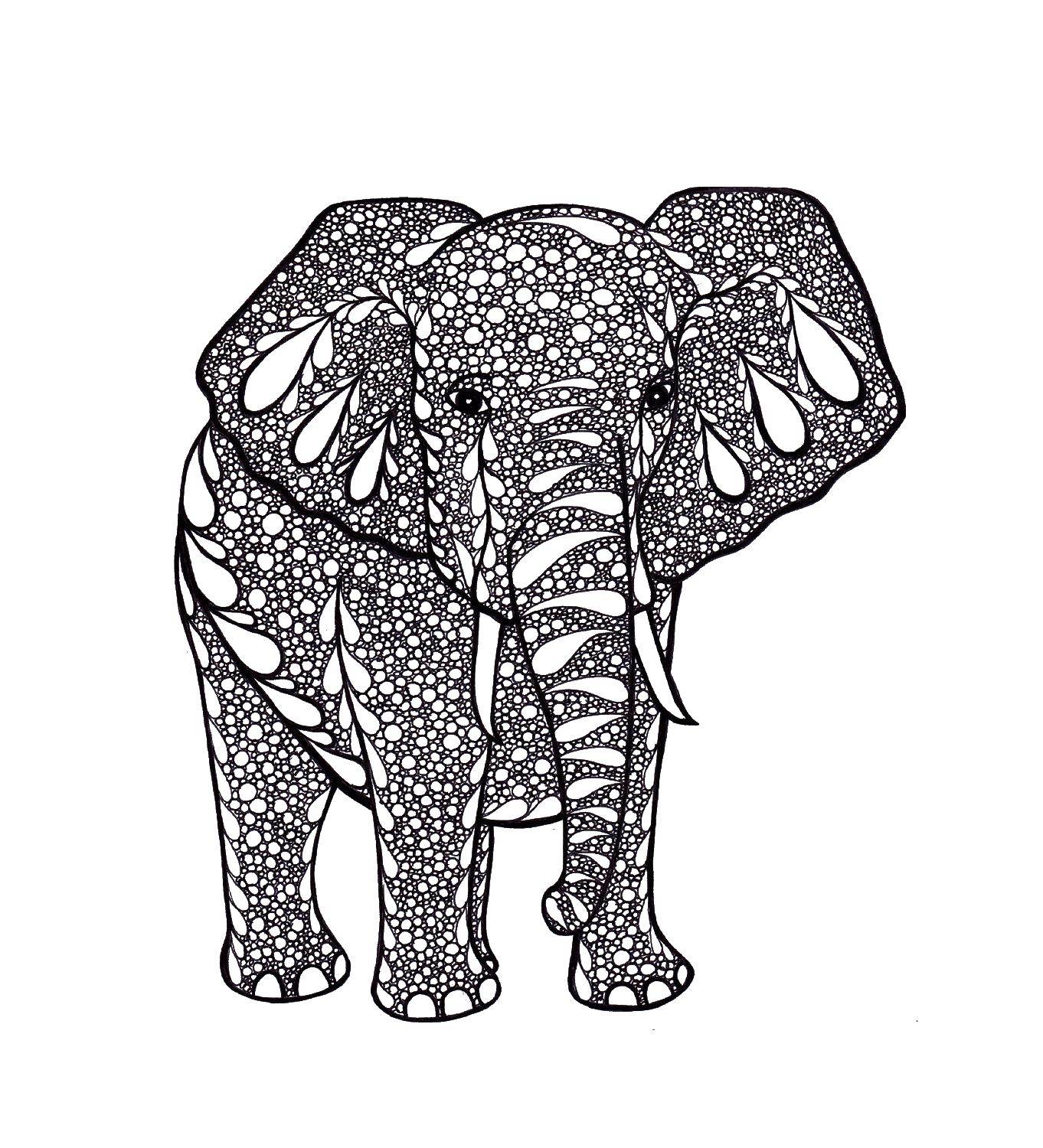 Coloring Elephant. Category Bathroom with shower. Tags:  antisress, patterns, shapes, elephant.