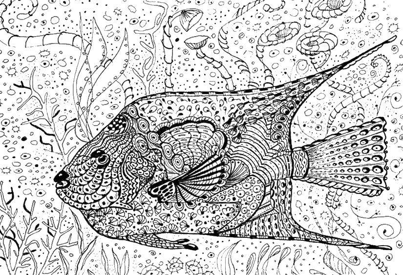 Название: Раскраска Узорный подводный мир. Категория: Антистресс. Теги: Подводный мир, рыба.