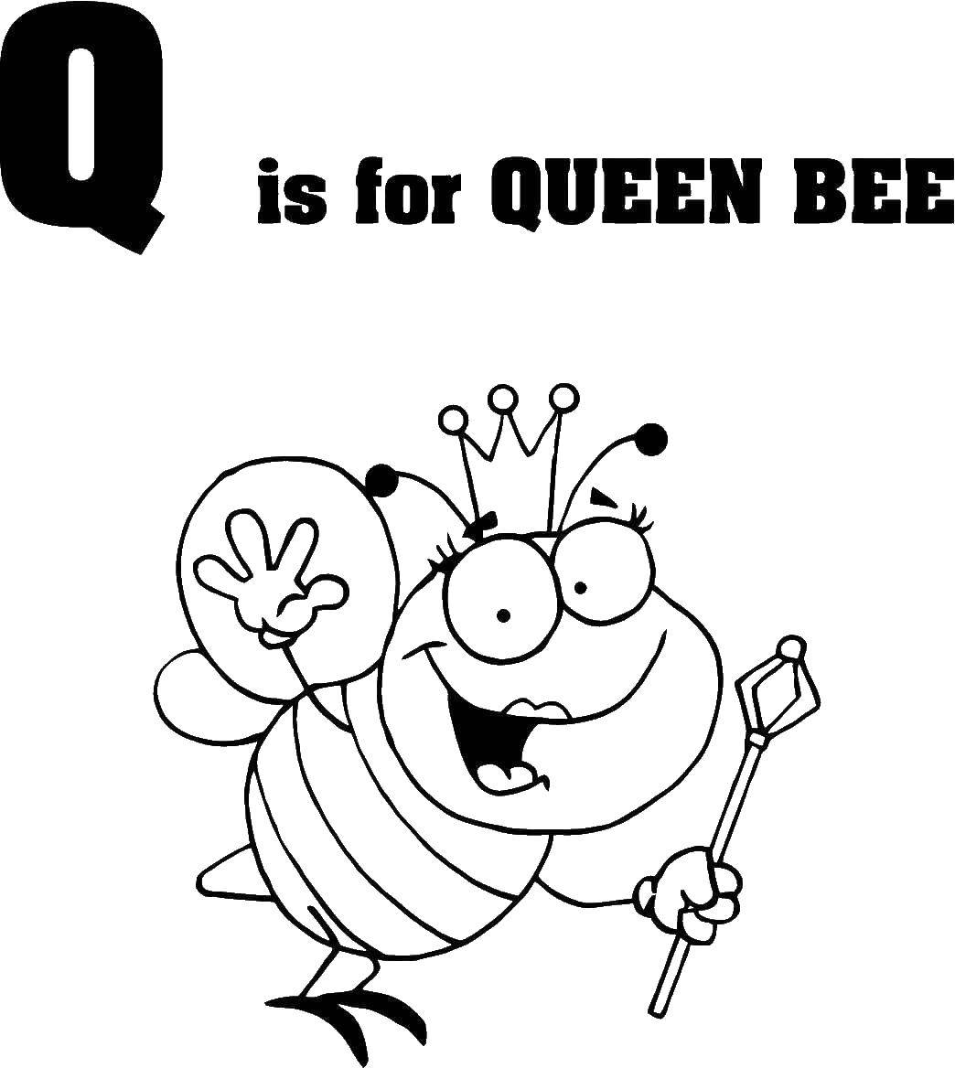 Название: Раскраска Королевская пчела. Категория: Английский алфавит. Теги: пчела.