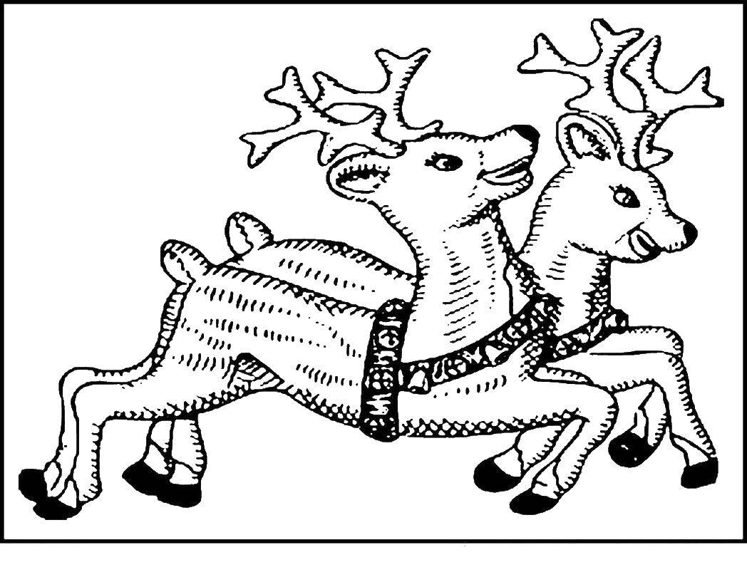 Coloring Calves. Category Christmas. Tags:  Christmas, deer, new year.