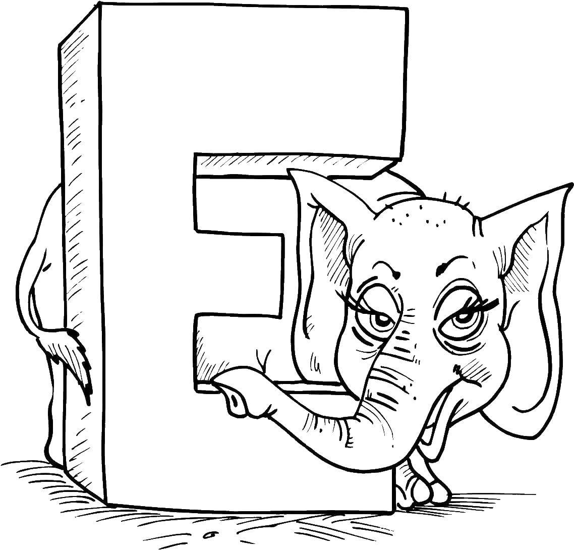 Название: Раскраска Слон и английская буква e. Категория: Английский алфавит. Теги: слон, буква E.