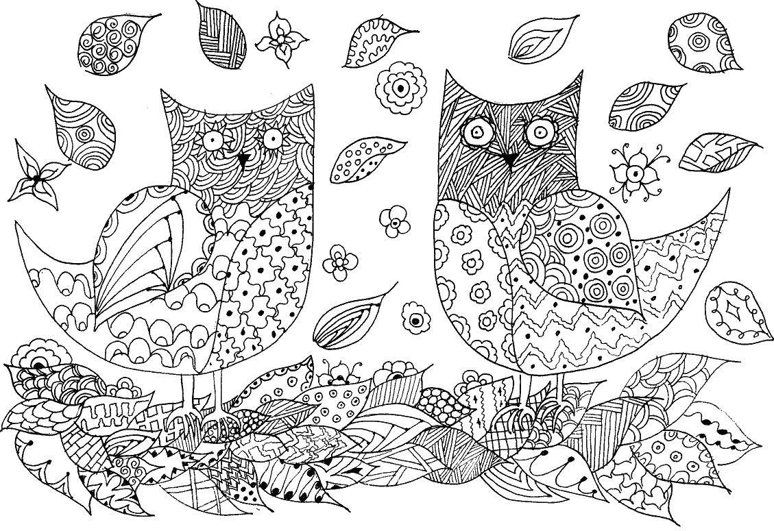 Coloring Patterned owls. Category Bathroom with shower. Tags:  Patterns, animals.