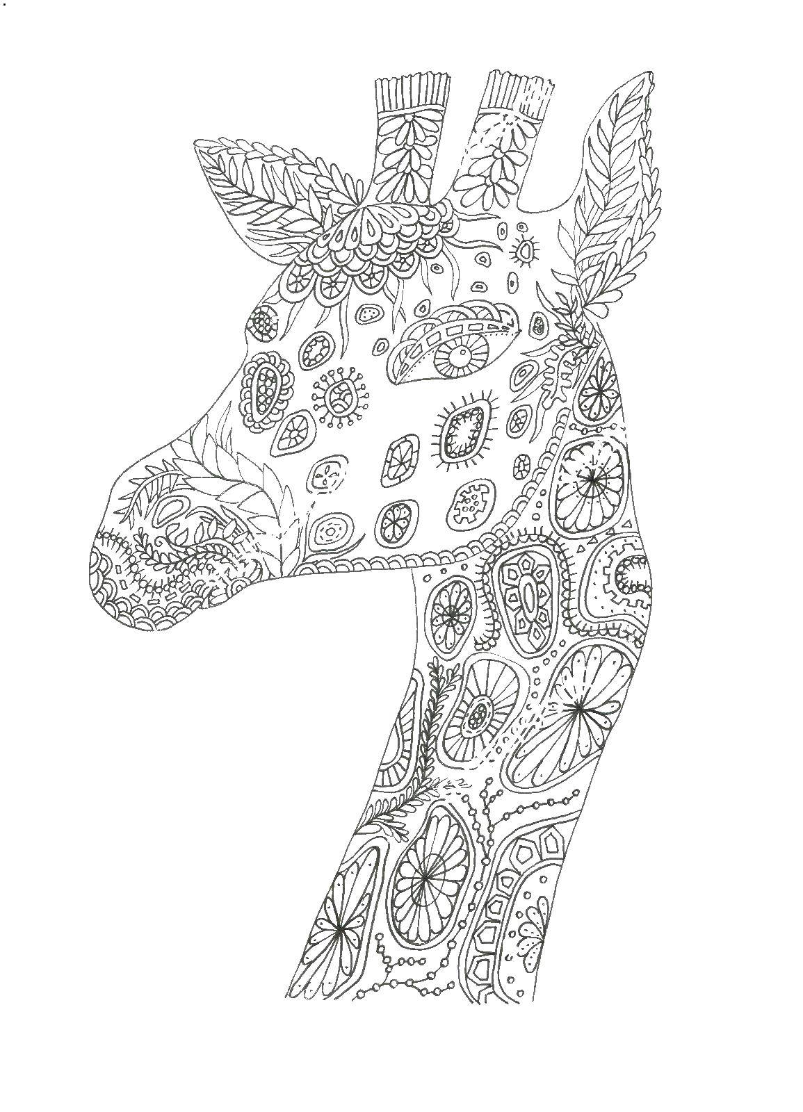 Coloring Giraffe, coloring antistress. Category Bathroom with shower. Tags:  antisress, patterns, shapes, giraffe.